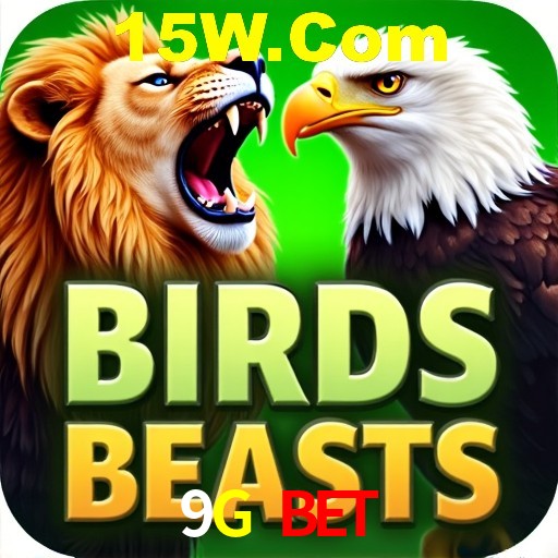 9G Bet Brasília - Crash Guide